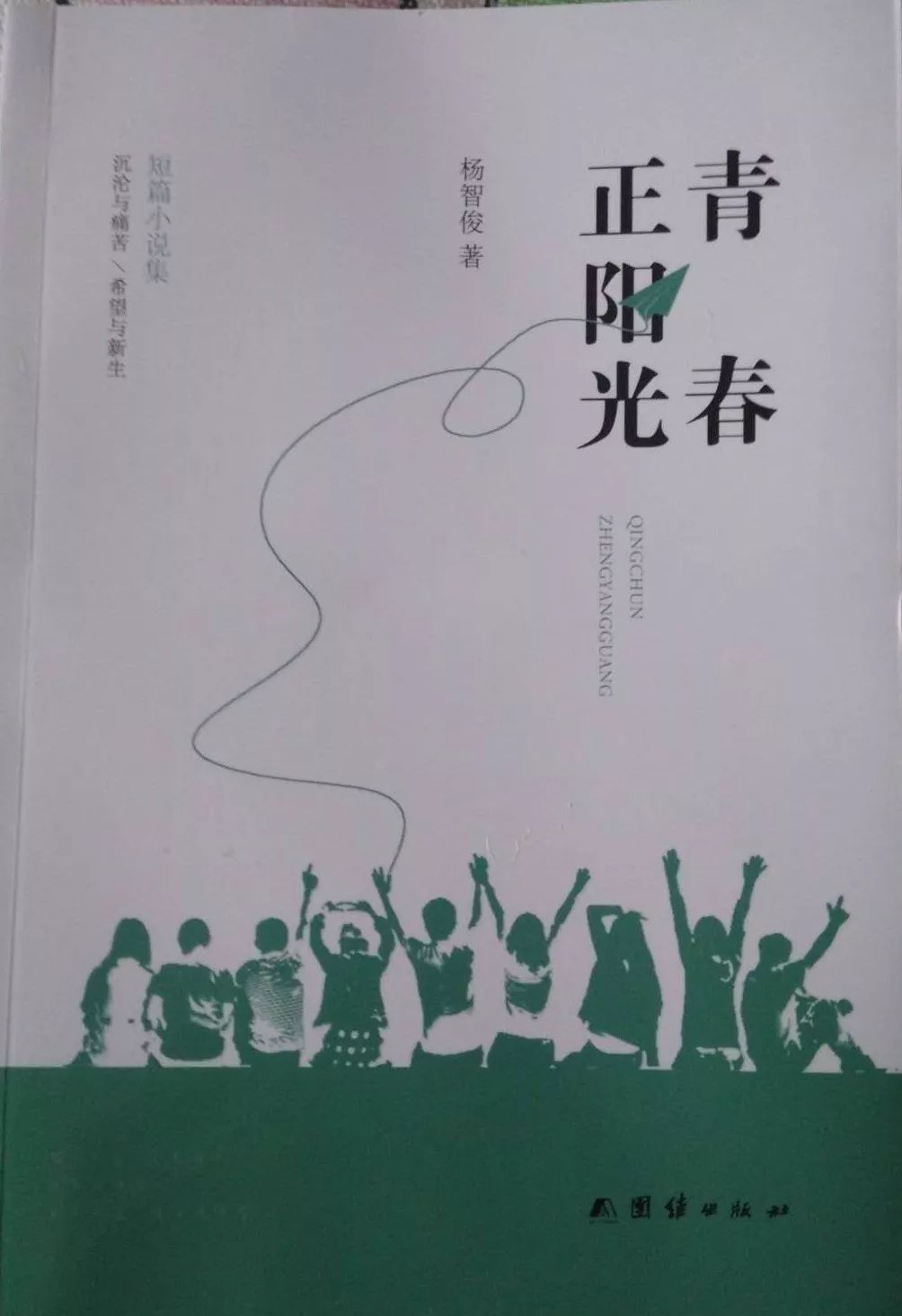 作家李铁小说,作家李铁小说中的专业研究，解释、定义与工具版的重要性,理论依据解释定义_白版75.74.98