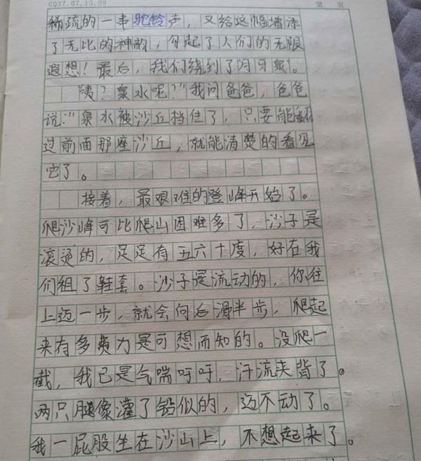 我和体育800字作文10篇