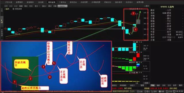 红绿特马后段发打一肖