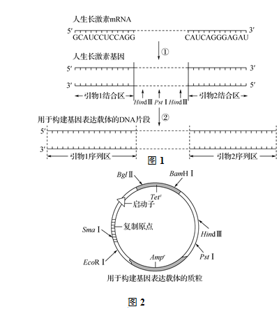 pcr扩增仪使用步骤