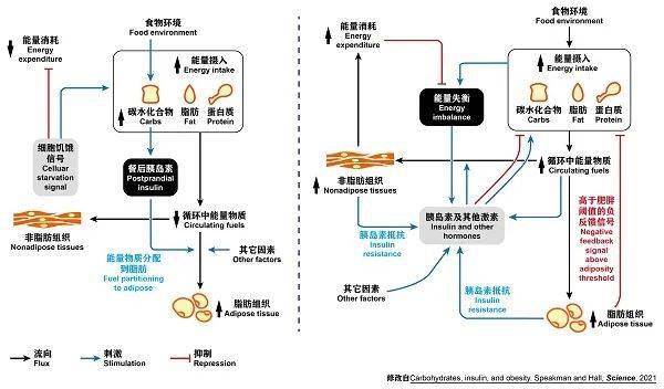 深圳减肥餐厅有哪些