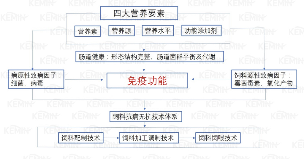 马齿加长打一动物王中王,基于关键词的创意设计与实施策略——以Harmony款51.30.23为中心,实地数据评估执行_界面版16.28.60