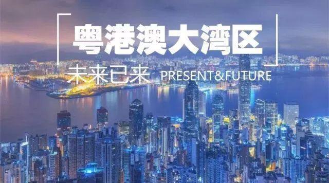 2025年今晚澳门开什么号码,探索未来，数据策略在澳门的发展之路,定量分析解释定义_基础版81.92.95