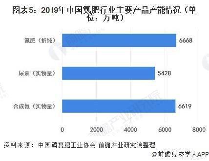 氮肥可以干嘛