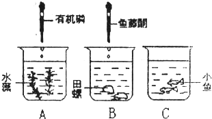 发热盘的原理,探究发热盘的原理及其在数据导向计划设计中的应用——特供款34.87.70,安全策略评估_微型版30.11.25