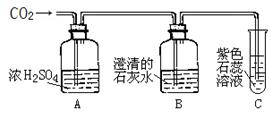 电子膨胀阀探头安装位置,电子膨胀阀探头安装位置与实地验证设计解析,实地分析数据计划_AP30.92.67