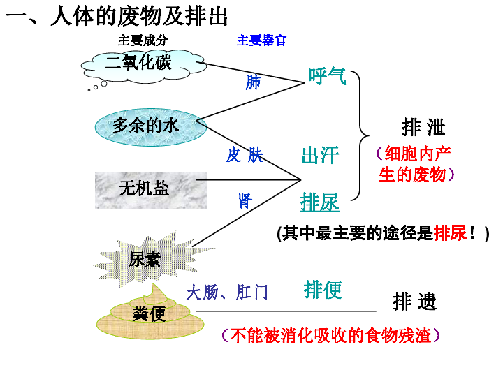 化工废料对人体的伤害