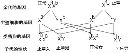 毛绒织物,毛绒织物，从实证研究的视角解析说明,精准解答解释定义_UHD版74.22.29