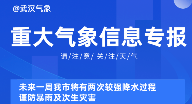 新澳精准资料免费提供630期2025,新澳精准资料免费提供，深度分析与数据挖掘之旅的第630期展望（头版，36.19.20）到2025年,深度应用数据策略_钱包版76.37.76