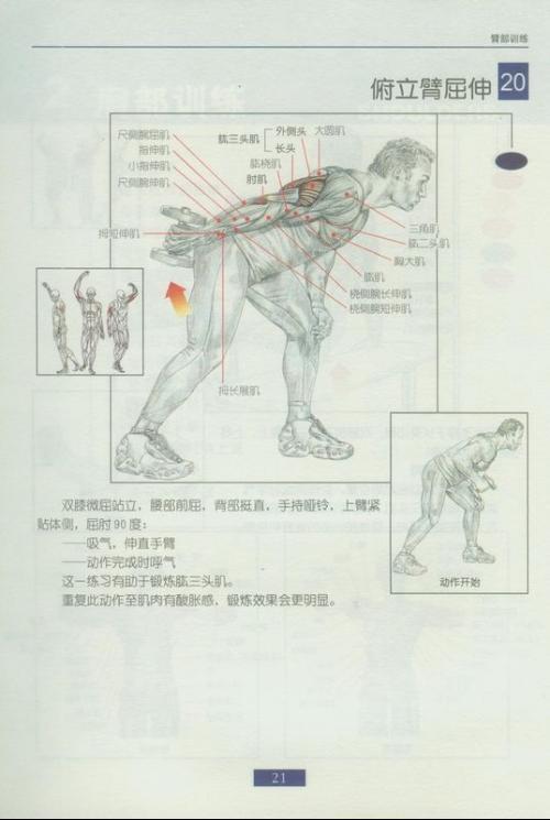 肱二头肌锻炼方法图解