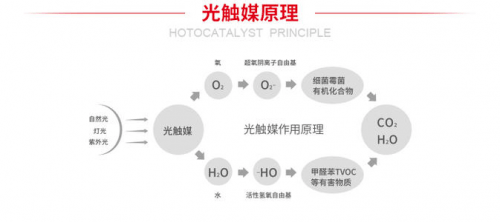 光触媒喷墙上会脱落吗,光触媒在墙上的应用，是否会脱落？定义与定量解答解释,互动策略解析_Premium44.76.94