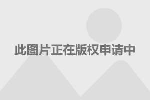 儿童保健门诊出科小结,儿童保健门诊出科小结与理论解答解析说明,科学评估解析_安卓款65.45.23