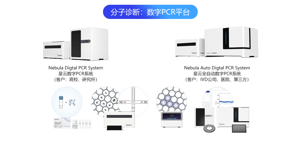 滚筒与新型材料及检测技术的关系