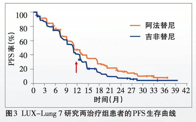 2024澳门天天开好彩精准24码