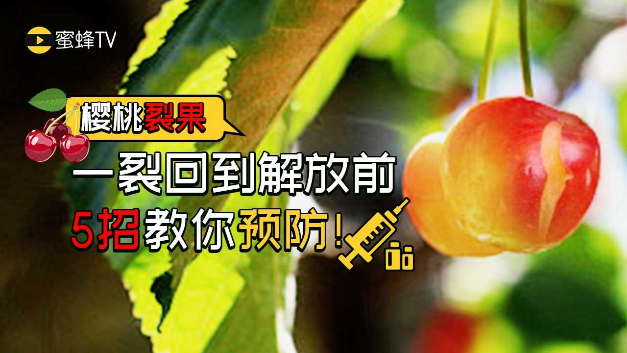 渤船集团官网,渤船集团官网优选方案解析说明,创新设计计划_桌面款49.18.34