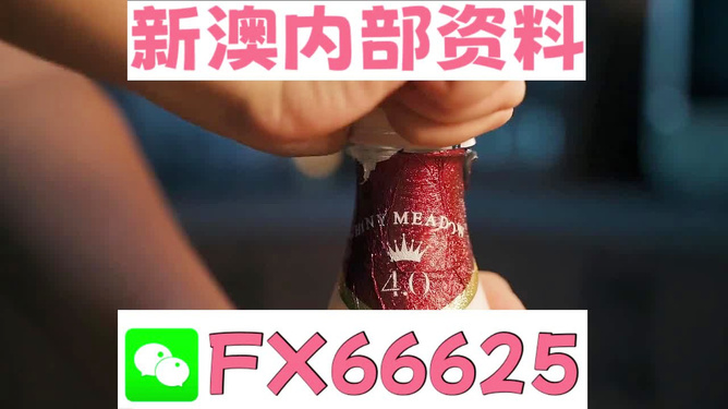 一码一肖100准资料