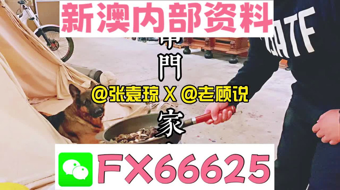 澳门管家婆资料正版大全