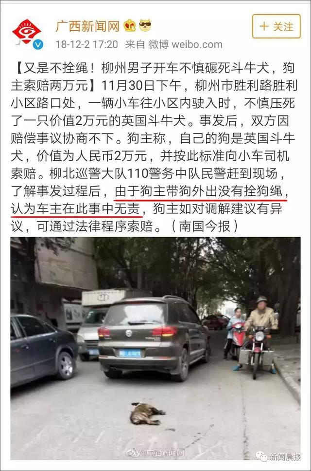 男子与无人快递车相撞被判主责