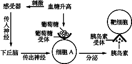 发烧是人体自带的体温调节系统