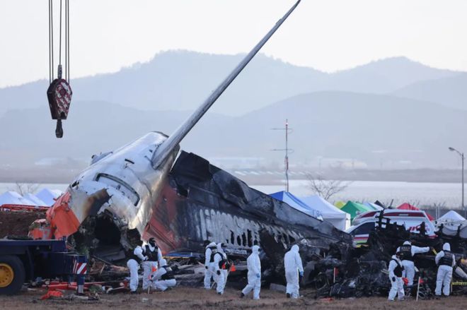 韩国空难客机引擎上发现羽毛