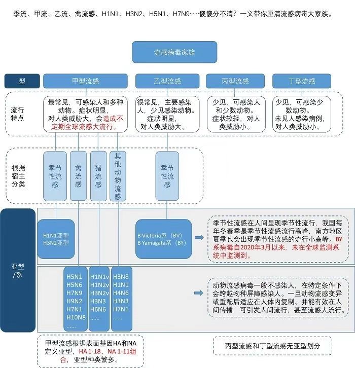 流感病毒中甲流传染性最强